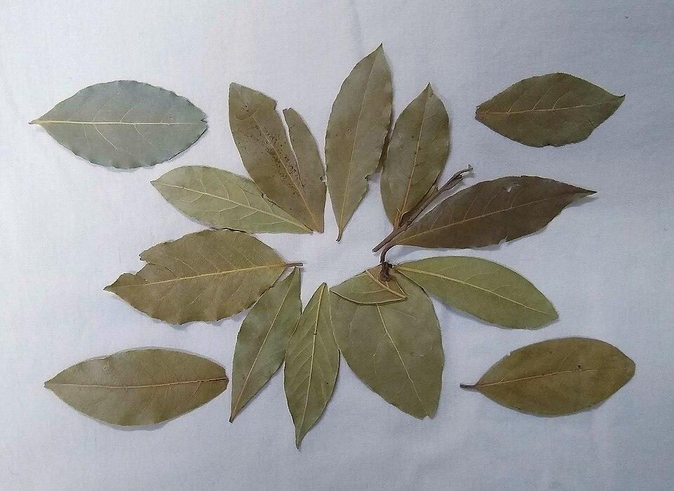 Indian bay leaves