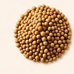 Fennel seed seeds — 100g