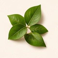 Mace whole — 100g
