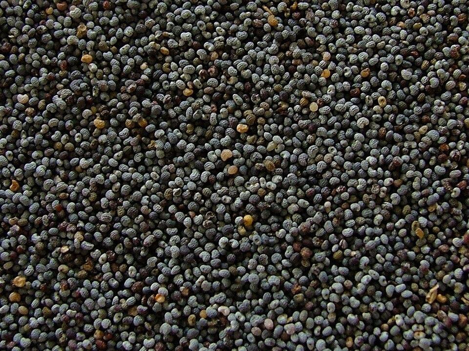 White poppy seeds