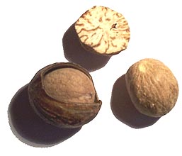 Nutmeg whole — image 1 of 1